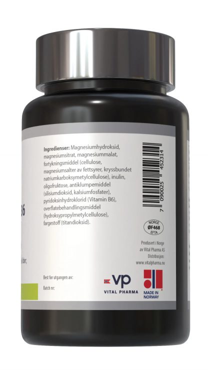 VP Magnesium + B6